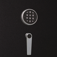 Electronic push button lock